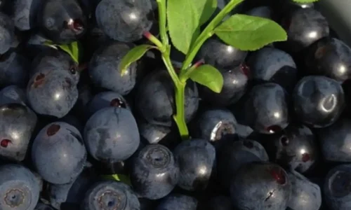 WhatsApp Image 2024-03-28 at 17.59.07_8500131d