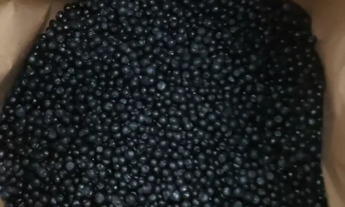 WhatsApp Image 2024-03-28 at 18.00.40_4e739266