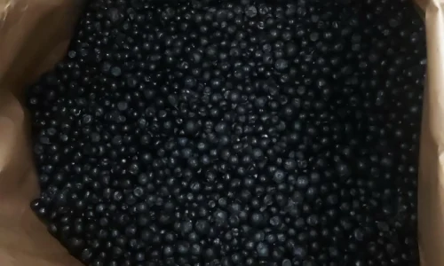 WhatsApp Image 2024-03-28 at 18.00.40_732eeb1c